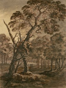 Scène de forêt, un grand pin écossais et une clairière forestière, 1771